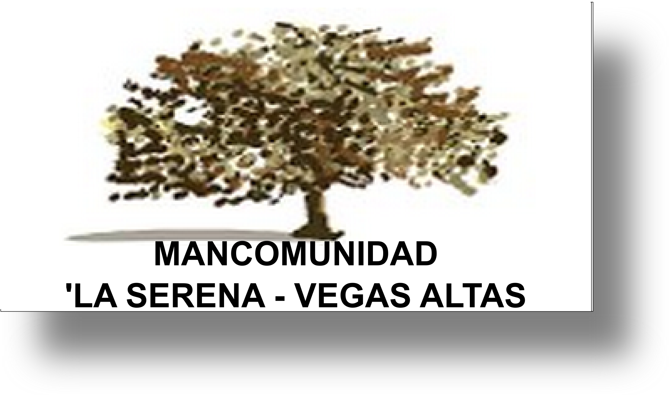 Imagen de banner: Mancomunidad  La Serena - Vegas Altas